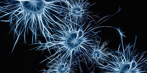 An artists impression of neurons firing in the brain